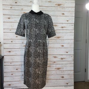 EN FOCUS STUDIO Black and White Dress Sz 12 NWT